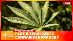 Faut-il légaliser le cannabis en France ? Vingt arguments pour se forger une opinion Faut-il légaliser le cannabis en France ? Vingt arguments pour se forger une opinion